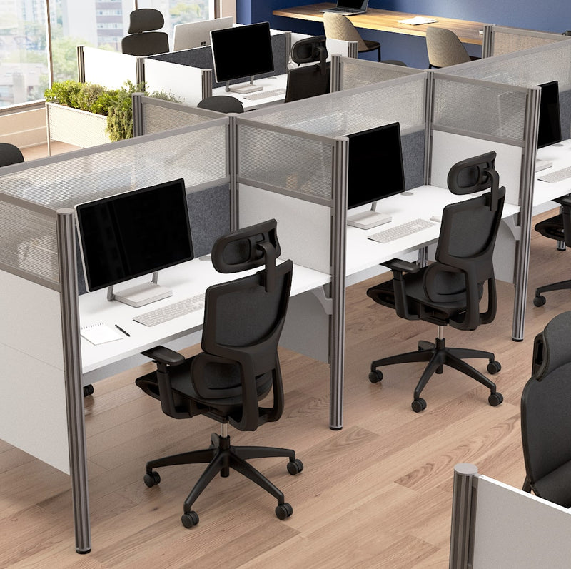 La collection Pro-Biz