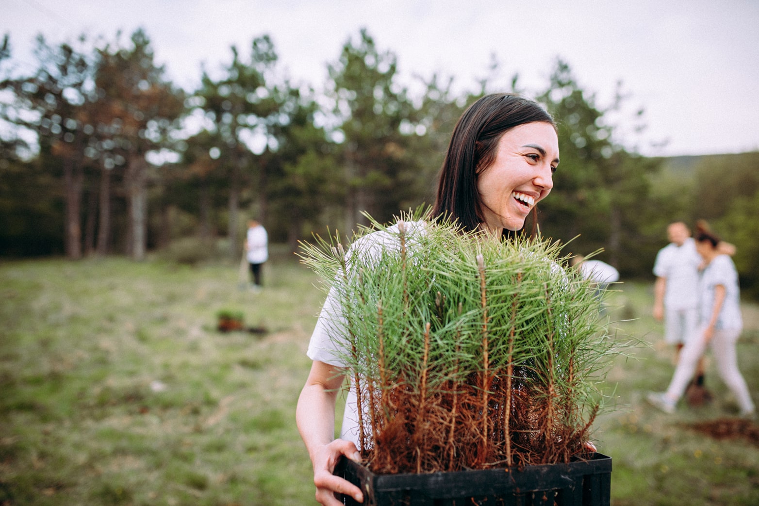 Woman holding a tray of young trees in a forest setting