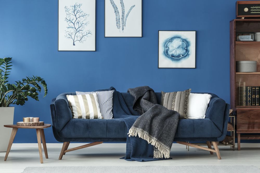Living room with trendy blue couch