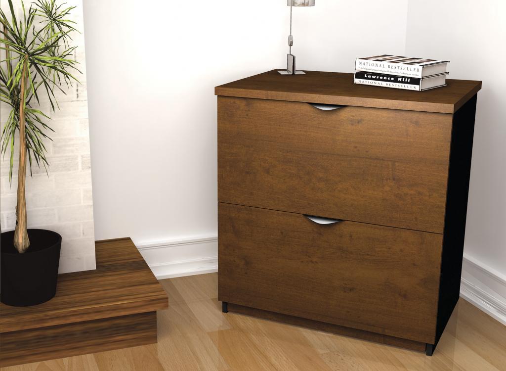 Lateral file cabinet with plant in a home office