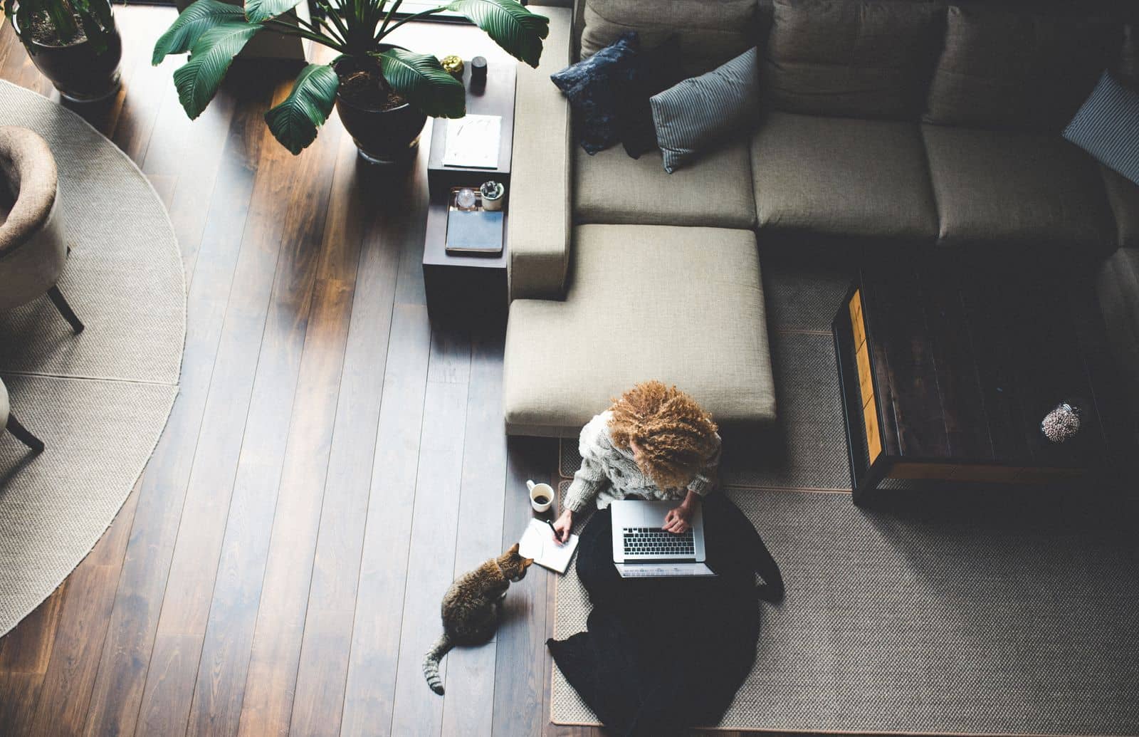 Woman working form home in her living room with her cat