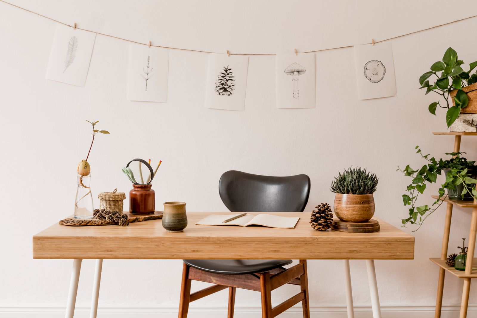 Desk with plants and nature drawings