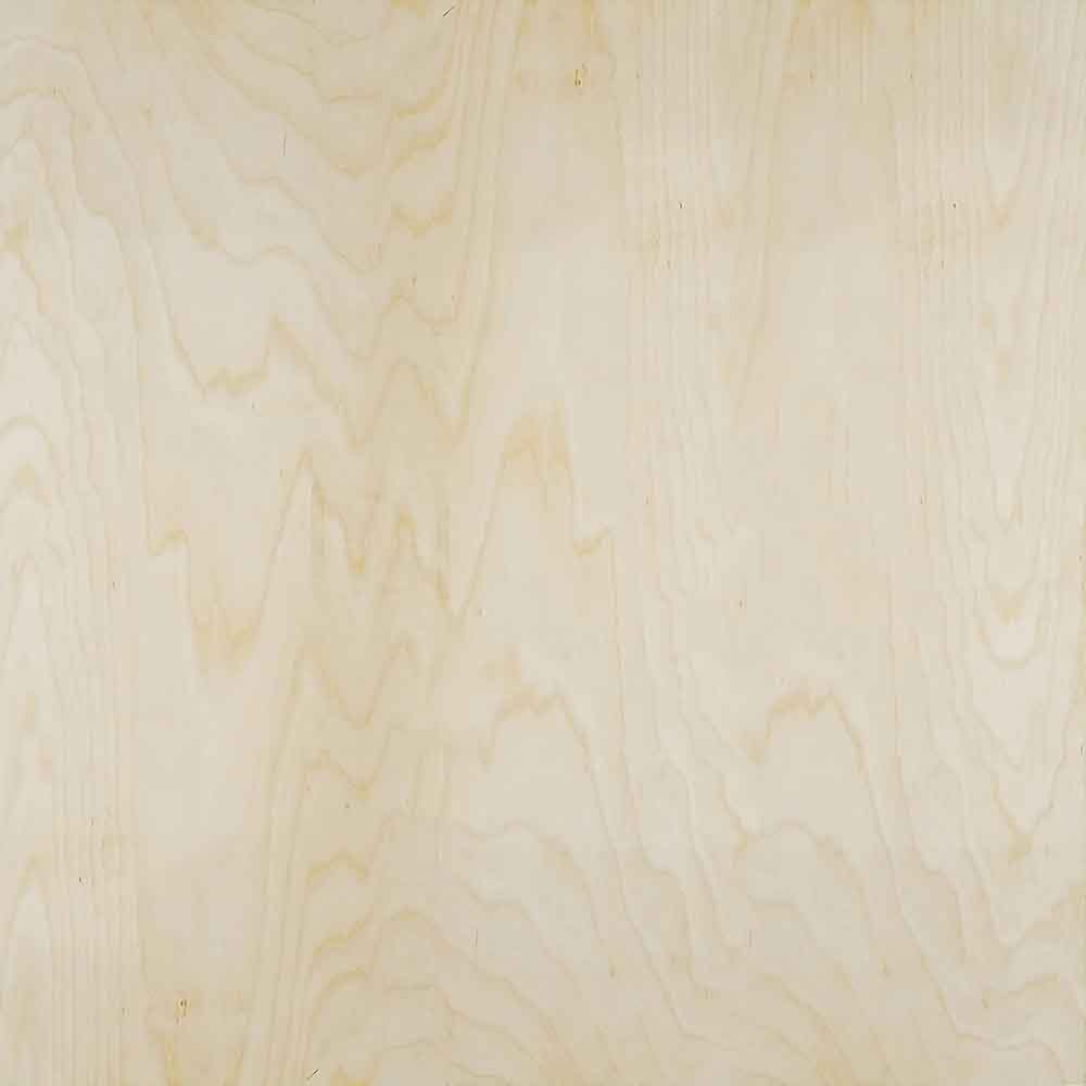 Natural Yellow Birch