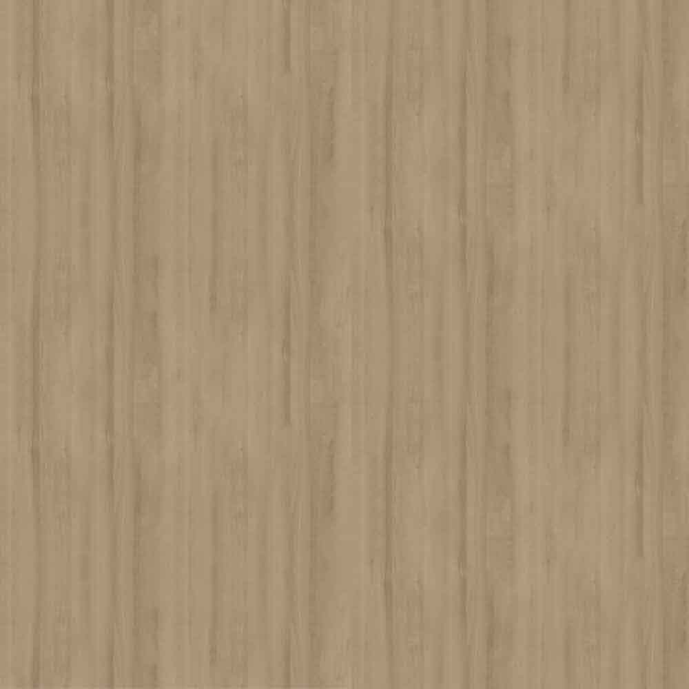 Northern Maple