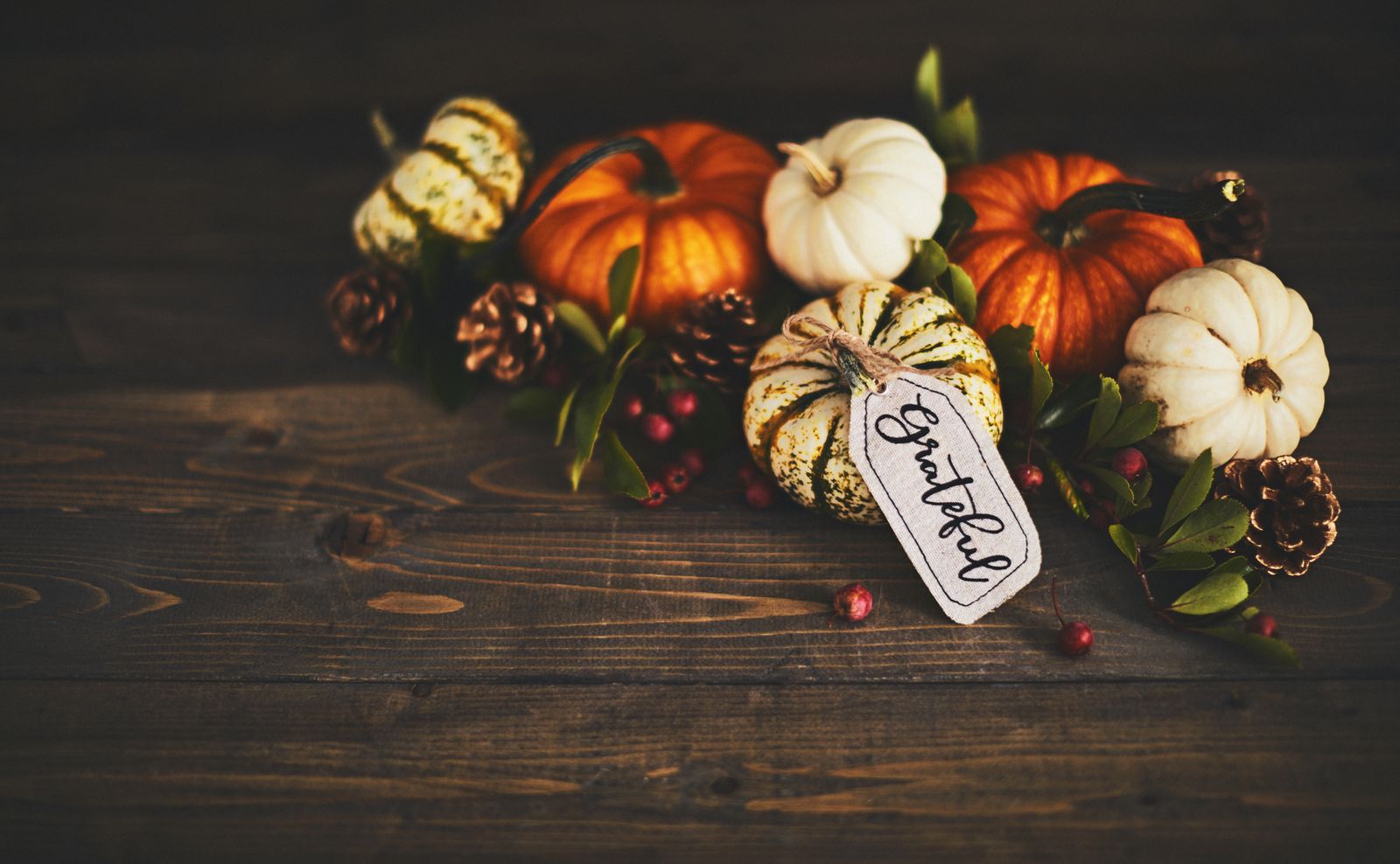 Thanksgiving pumpkins