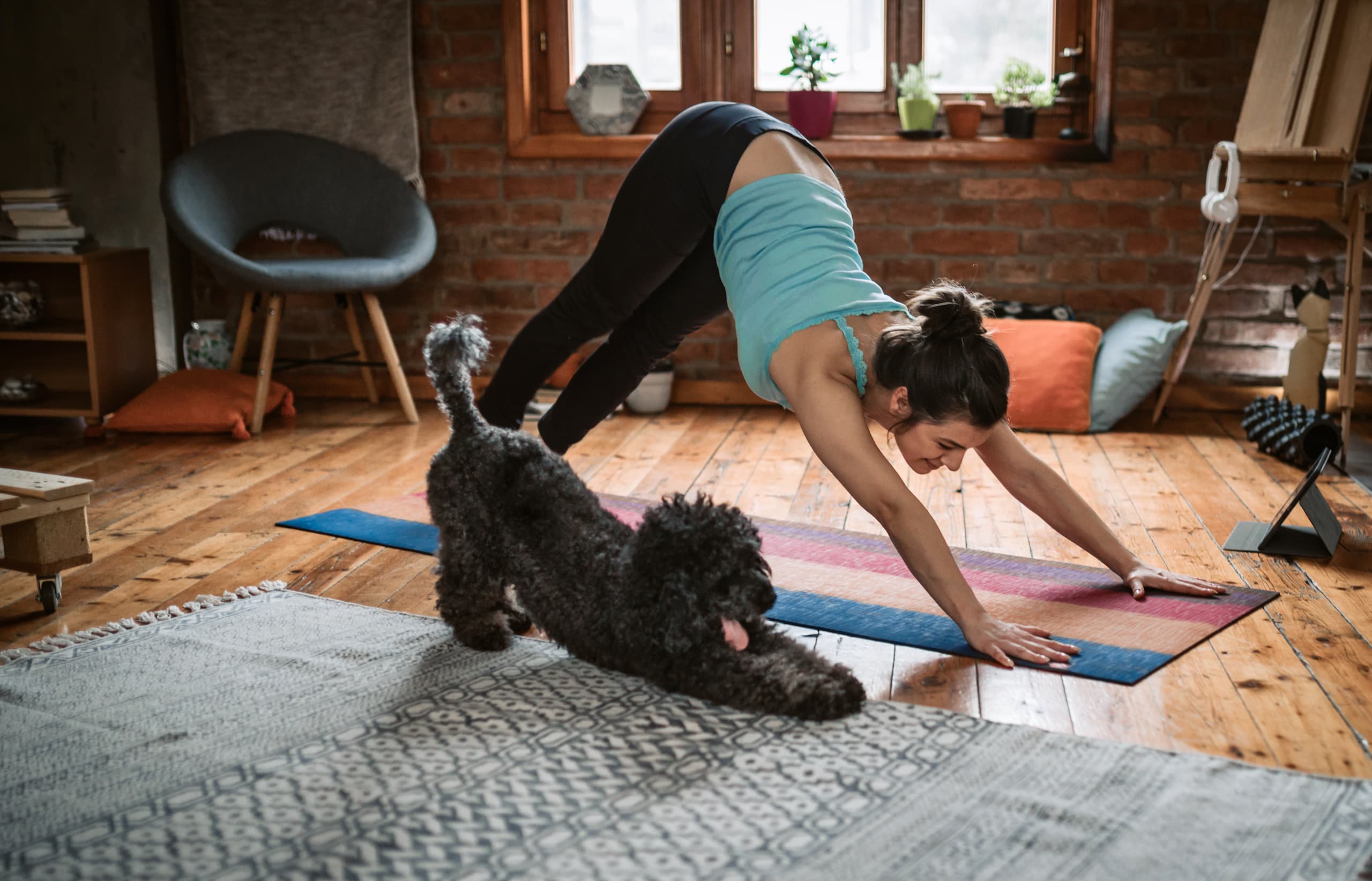 Woman doing yoga at home with her dog