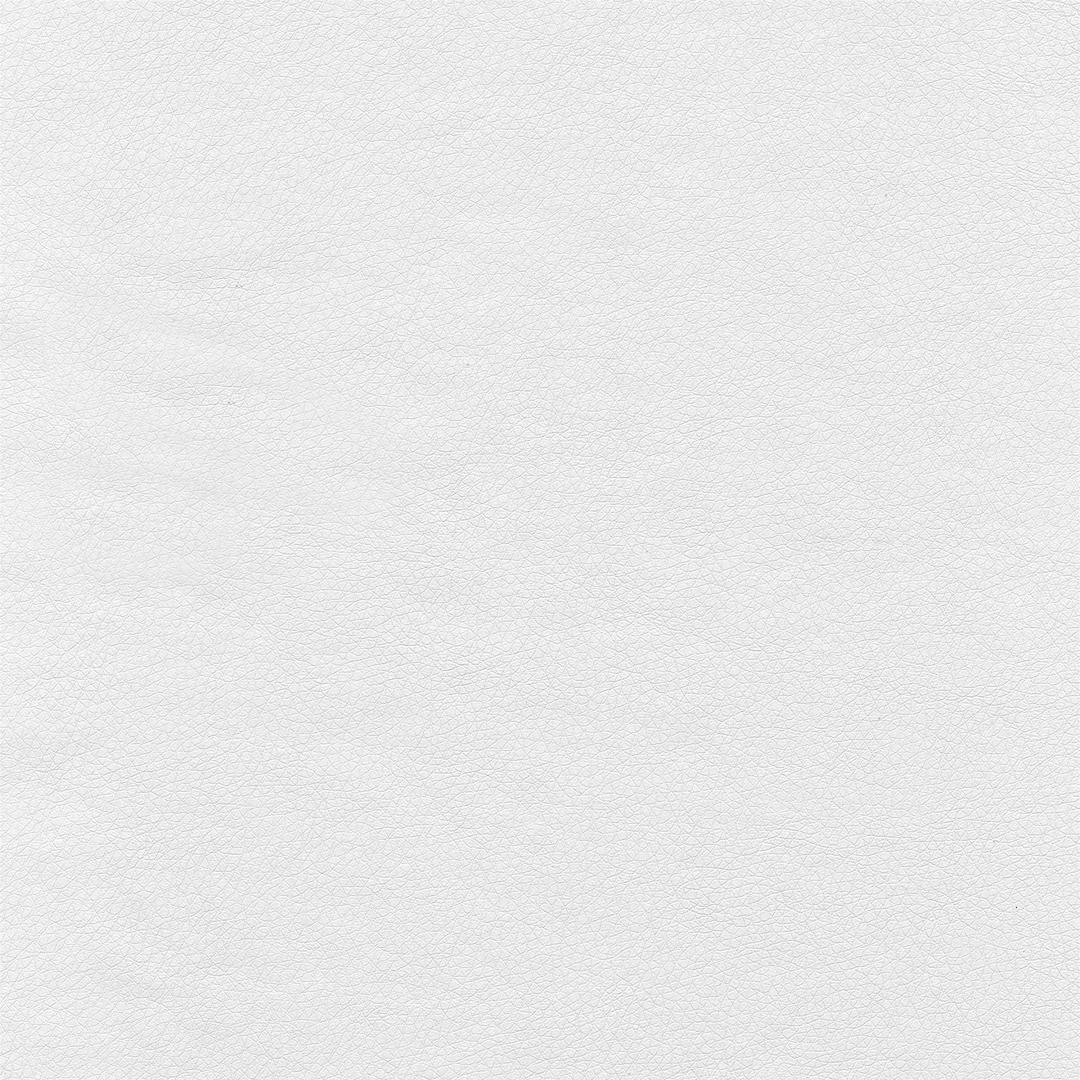 White Leather