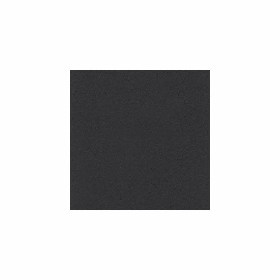 Black Leather