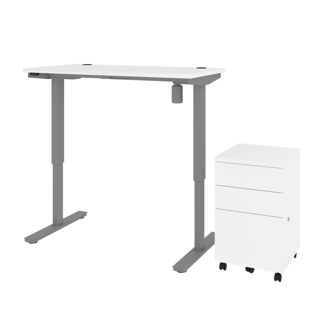 48W x 24D Standing Desk with Assembled Mobile Pedestal